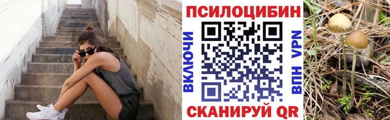 Псилоцибиновые грибы мицелий Кудрово